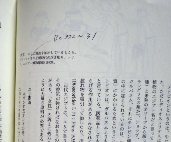 ファラオの秘薬 : 古代エジプト植物誌(リズ・マニカ 著 ; 八坂書房編集