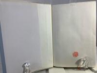 事実審理 : 法廷に生かす証人尋問の技術