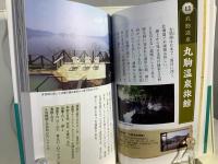 究極の源泉宿73――誰も書かない“源泉かけ流し"の真実(祥伝社新書462)
