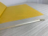 戦国天使京極マリア