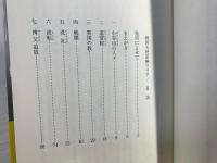 戦国天使京極マリア