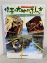 埼玉・大地のふしぎ : オールカラーガイドブック