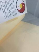 元極学/混沌初開法 : 張志祥伝 人類必修の功法を学ぶ