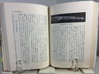 絢爛たる暗号 : 百人一首の謎をとく