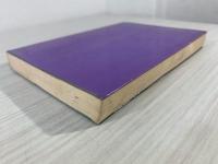 チョッパリ : 小林勝小説集