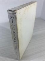 カール・シュミット研究 : 危機政府と保守革命運動