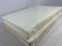 カール・シュミット研究 : 危機政府と保守革命運動