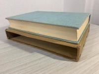 ヘルマン・ヘッセ研究 : 第一次大戦終了まで