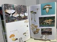 京都のキノコ図鑑