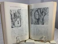 生物から見た世界