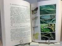 原色日本蛾類幼虫図鑑