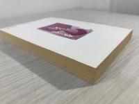 土井たか子マイウェイ