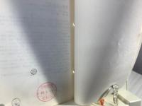 若夏国体  PRESS GUIDE