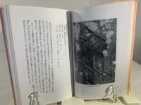 碑刻手帖 : 見方と技法