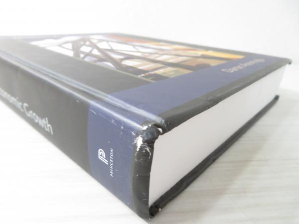 Introduction to Modern Economic Growth: Acemoglu, Daron: 9780691132921:  Books - Amazon.ca