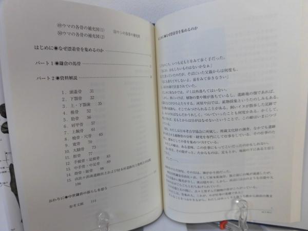 鎌倉の馬の骨 : 漂着骨を調べる(芝田英行 著) / 古本、中古本
