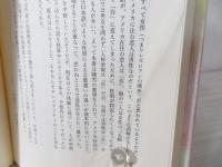 橋の上の子ども