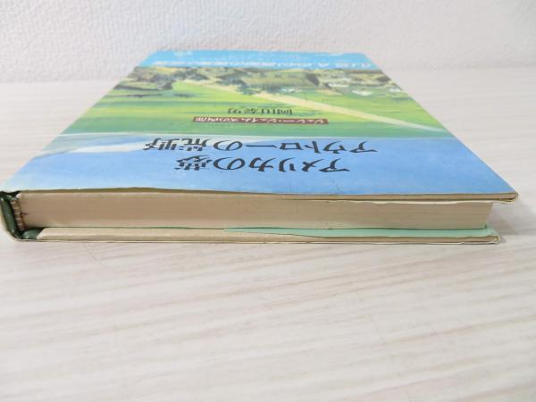 アメリカの夢アウトローの荒野 ジェシー ジェイムズの西部 岡田泰男 著 ブックソニック 古本 中古本 古書籍の通販は 日本の古本屋 日本の古本屋