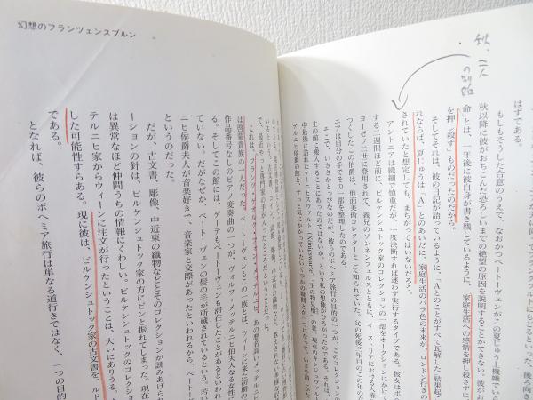 ボヘミア・ベートーヴェン紀行 : <不滅の恋人>の謎を追って(青木