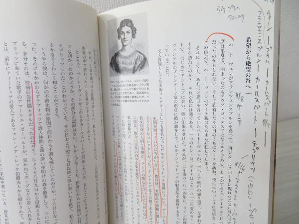 ボヘミア・ベートーヴェン紀行 : <不滅の恋人>の謎を追って(青木