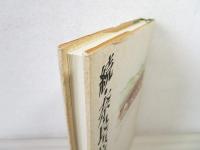 続・奈良点描