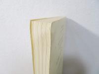 見えざる病原体を追って : ウィルス学史序論