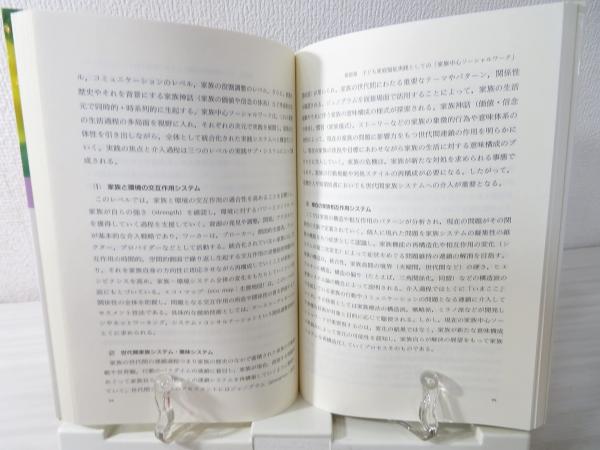 エコロジカル・ソーシャルワークの理論と実践 : 子ども家庭福祉の臨床