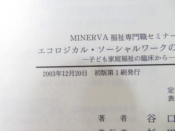 エコロジカル・ソーシャルワークの理論と実践 : 子ども家庭福祉の臨床