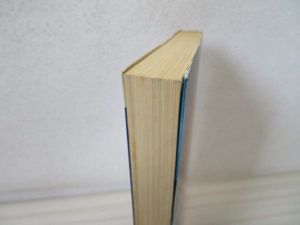 真正・日本霊能者伝 : 正しき霊統を継ぎ、天から降ろされた者たち(中矢