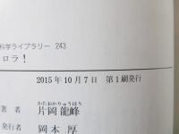 オーロラ!