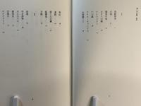 愛しみの嚢
