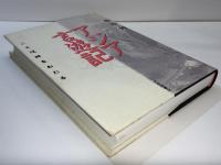 アジア言遊記 : ことば、峠をわたる