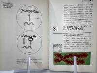 エイズ発見・治療・対策 : すべての疑問に答える