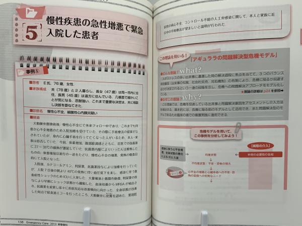 救急・重症ケアに今すぐ生かせるみんなの危機理論 : 事例で学ぶ