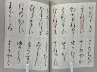 美しい小筆字入門 : 基本からわかる細字の手本集
