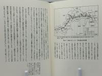 叢書・中国的問題群 9