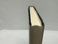 Word and deed : studies in Chaucer's words