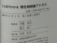 ひと目でわかる微生物検査アトラス : ポケット版