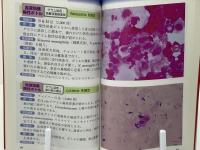 ひと目でわかる微生物検査アトラス : ポケット版