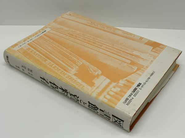 図書館と資料保存 : 酸性紙問題からの10年の歩み(安江明夫 ほか