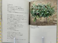 加藤文子の奏デル盆栽ノート