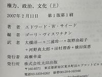 権力、政治、文化