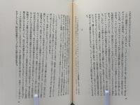 フィッツジェラルドの文学 : "アメリカの夢"とその死