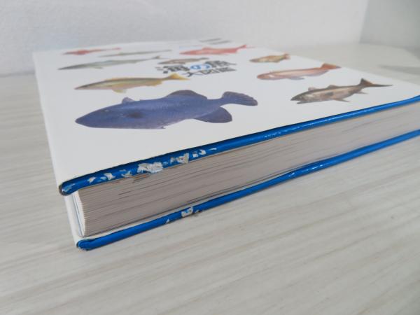 海の魚大図鑑 : 釣りが、魚が、海が、もっと楽しくなる(石川皓章 著 