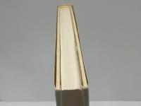 仏教道草ばなし