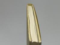 短冊型の世界