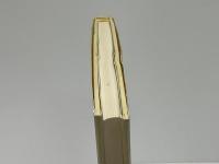 短冊型の世界