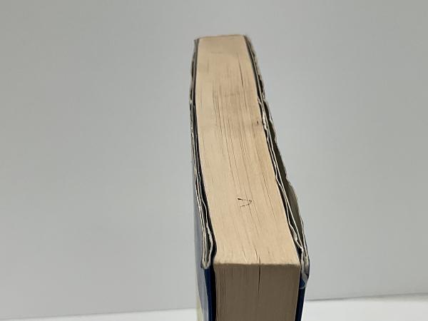 現代四柱推命 : あなたの運勢バイオリズムを解明する(森 千命