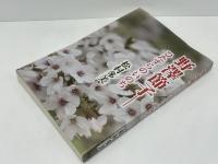 野澤節子 : ひたすらのいのち