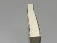 野澤節子 : ひたすらのいのち